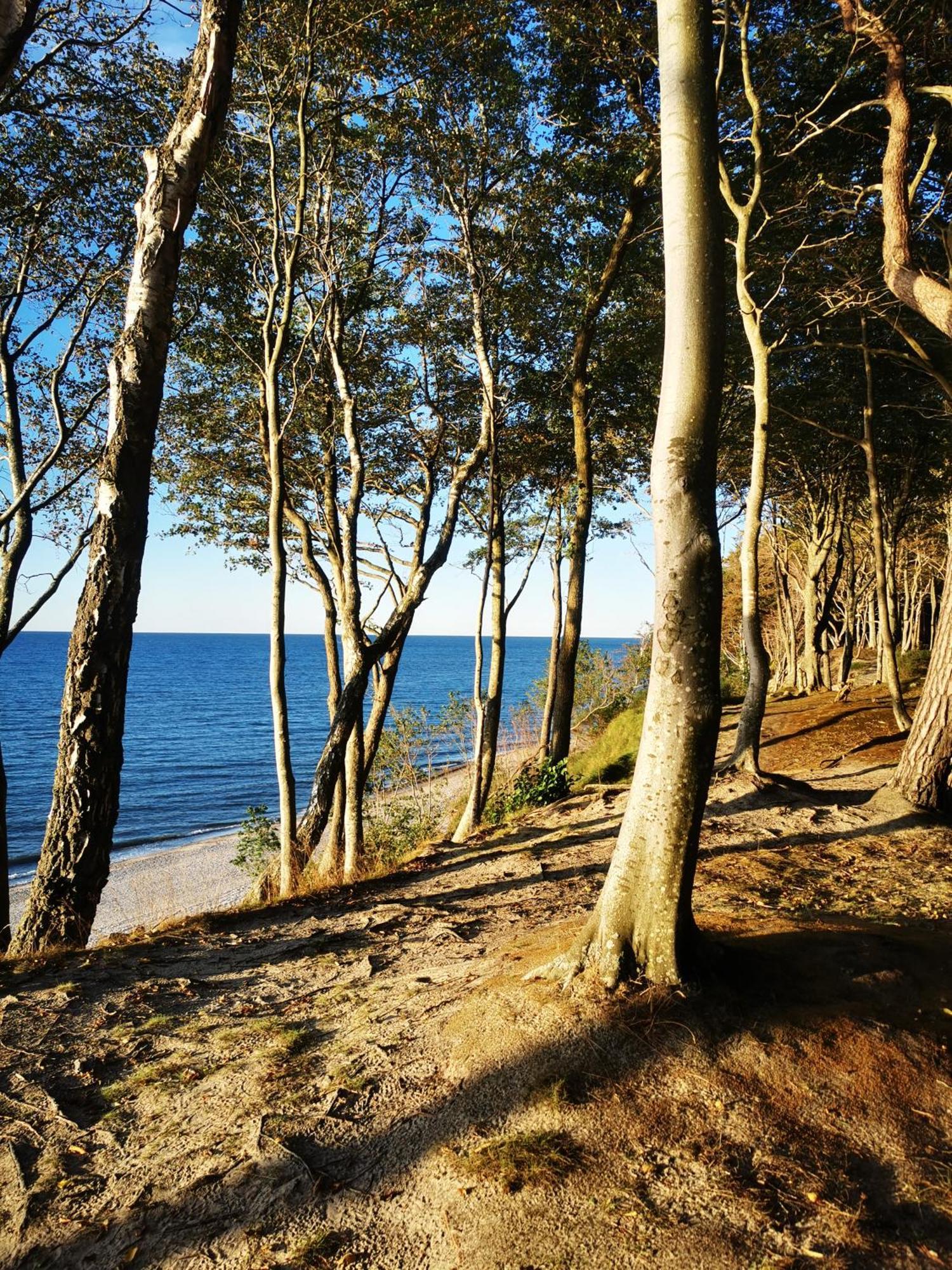 Apartament 11B Niebieskie Apartamenty Poddabie Dawniej Blue Marine Z Basenem Krytym, Odkrytym, Sala Zabaw, Animacjami Poddąbie Exterior foto